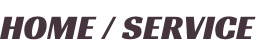 HOME / SERVICE